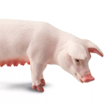 Safari Ltd. Safari Ltd. Figúrka - Prasnica