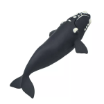 Safari Ltd. Safari Ltd. Figúrka - Veľryba južná