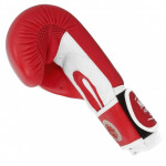 Kožené boxerské rukavice MASTERS RBT-TRW 01210-02 modrá