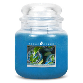 Goose Creek - Čučoriedková limonáda Sviečka v skle 450 g