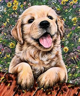 Diamantové maľovanie - Šteňa labradora