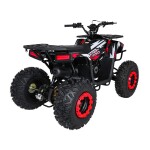 Mamido Detská benzínová štvorkolka RamiGO MONSTER 200CC čierno-červená