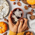 TEA HERITAGE Čaj rooibos s červeným pomarančom Star 5 ks