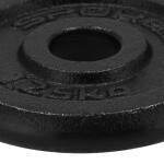 Hmotnosť liatiny 1,25 kg Spokey Sinis SPK-944482 1,25 kg