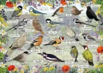 GIBSONS Puzzle RSPB: Šťastní vtáčiky