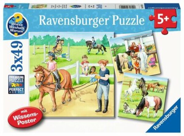 Ravensburger Kone