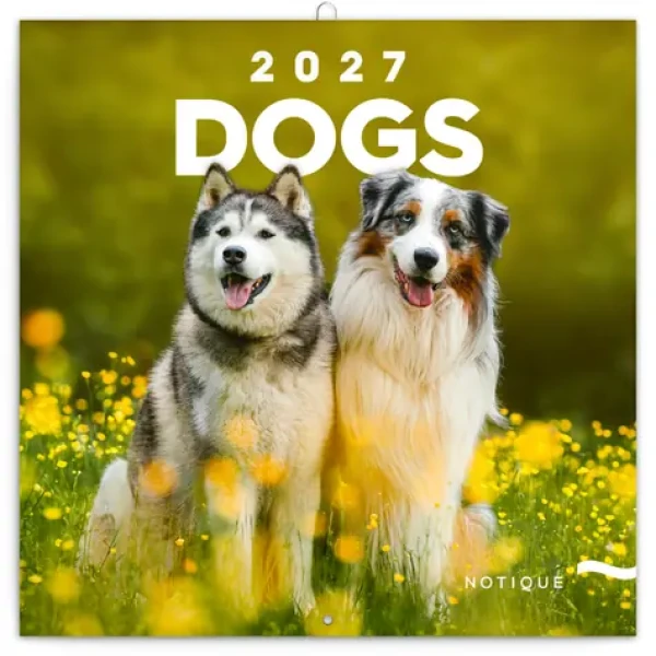 NOTIQUE Poznámkový kalendár Psy 2027, 30 x 30 cm (PGP-36318-V)