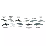 Safari Ltd. Safari Ltd. Trúbka - Veľryby a delfíny