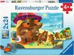 Ravensburger Puzzle: Medvedia rodinka na výlete /2x24/ od 4 rokov
