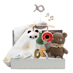 Taf Toys Sada hračiek Newborn Luxe / od narodenia (13515TAF)