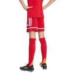 Šortky adidas Squadra 25 Jr JN5456 152CM