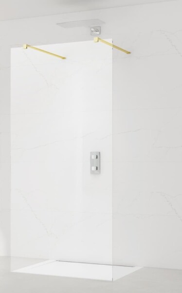 Sprchová zástena SAT Walk-in 60 cm SATBWI60PRMO SATBWI60PRMO