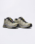 Salomon XT-6 Gore-Tex Eucalyptus/Silves/Cosmic 42 2/3