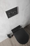 GSI - PURA závesná WC misa, Swirlflush, 36x55cm, čierna dual-mat 881526