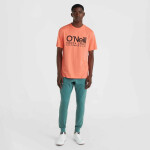 Tričko O'Neill Cali Original M 92800613165 L