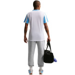 Pánske svetlo šedé fleecové nohavice Nike Park 26 IB1248 063 L