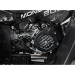 Mamido Detská benzínová štvorkolka RamiGO MONSTER 200CC čierno-biela