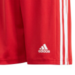 Squadra 21 GN5761 Mládežnícke šortky Adidas