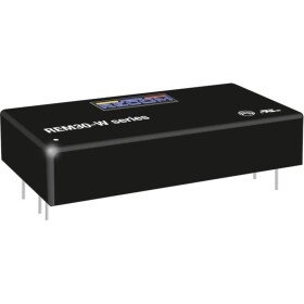 RECOM REM30-2405SW DC / DC menič napätia 6 A 30 W Počet výstupov: 1 x; REM30-2405SW