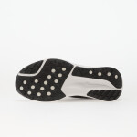 Tenisky Nike Acg Pegasus Black/ Summit White-Anthracite EUR 40.5