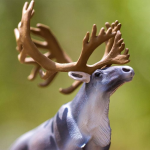 Safari Ltd. Safari Ltd. Sob polárny