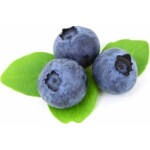 Ovocná pln borůvkový gel 1kg - Zeelandia - Zeelandia
