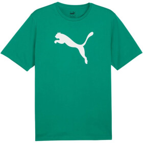 Puma Team Rise Logo Jersey Cotton M 658705 05 muži L