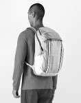 Patagonia Black Hole Pack 25L Cinnamon Brown