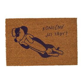 Bella Rose Rohožka z kokosových vlákien Konečně jsi tady!