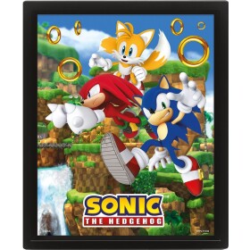 Pyramid International Sonic 3D obraz Catching Rings