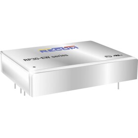 RECOM RP30-2405SEW DC / DC menič napätia 6 A 30 W Počet výstupov: 1 x; RP30-2405SEW