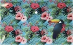 HAPPY SPIRIT Zložka s cvokom A4 Tropical / Zložka / A4 / cvokové zapínanie / 33 x 23,5 cm (0400506)