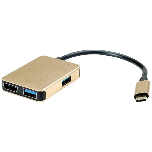 Roline Gold USB-C (12.02.1120)