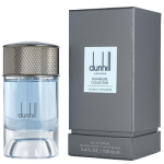 Dunhill Nordic Fougere - EDP 100 ml