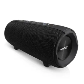 Niceboy Titan 4 čierna / Prenosný bluetooth reproduktor / 50 W / 3.5 mm jack / USB / microSD / BT 5.3 (raze-titan-4)