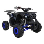 Mamido Detská benzínová štvorkolka RamiGO WILDPEAK 110CC čierno-modrá