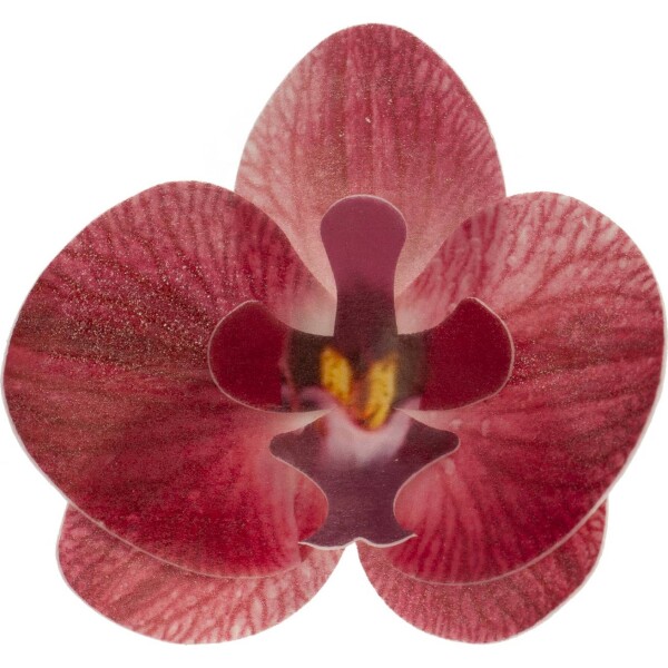 Kvety z jedlého papiera orchidea ružová 10 ks - Dekora - Dekora