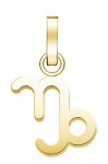 Rosefield Pozlátený prívesok Kozorožec The Pendant PE-Gold-Capricorn-S