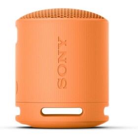 SONY SRS-XB100