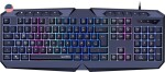 Speedlink Speedlink keyboard Ludicium RGB Rainbow US (SL-670004-BK-US)