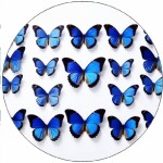 Jedlý papier modré motýle 19,5 cm - Pictu Hap