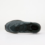 Tenisky Salomon XT-EVO Stormw/ Dark S/ Grape Leaf EUR 43 1/3