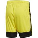 Pánske šortky Tastigo 19 DP3249 Yellow Adidas