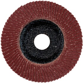 Metabo 624393000 lamelový brúsny kotúč Ø otvoru 22.23 mm 10 ks; 624393000