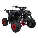 Mamido Detská benzínová štvorkolka RamiGO WILDPEAK 110CC čierno-červená