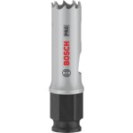 Bosch Home and Garden 2608594366 2608594366 vŕtacia korunka 17 mm 1 ks; 2608594366