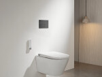 CERANO - Ovládacie tlačidlo splachovania Line k WC modulu Profi - nerezová oceľ - grafit/gun metal CER-8050BD80365