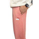Puma Ess+ 2 Col Logo nohavice M 586768 62 S