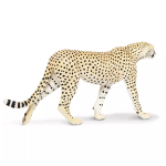 Safari Ltd. Safari Ltd. Gepard