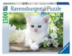 Ravensburger Biele mačiatko